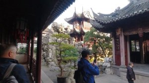 Старый город в Шанхае. Сад Юй Юань или Сад радости. Шанхай. Ноябрь 2023