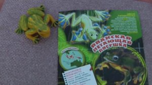 Лягушки и Ко Макси Деагостини