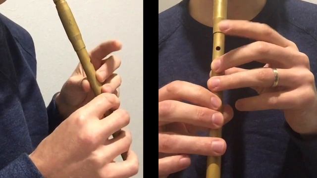 Bridgie Con Matt's Polka- Whistle смотреть онлайн