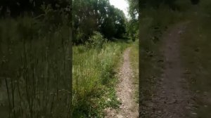 река Непрядва 2023