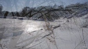 Красивая зима в Беларуси. Всё вокруг в белом. Завораживает. Зимние пейзажи. Леди зима. Lady winter.