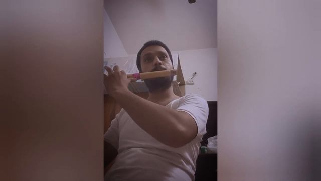 Little try NAGIN on FLUTE смотреть онлайн