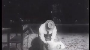 Толстой в Ясной Поляне