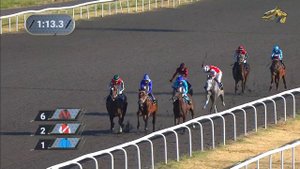 Скачки. Сабантуй 2021. Казанский ипподром. Кубок Казанского Кремля. 26.06.2021