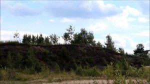 Нива перевернулась