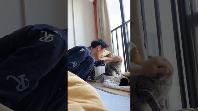 ДомашниеПитомцы