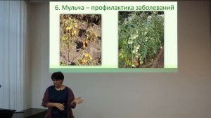 Мульчирование - что это такое и зачем это нужно.