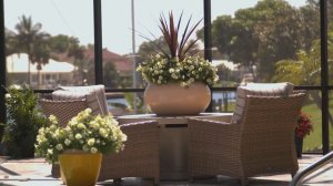 01 CAPRI PETUNIA 1080p