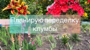 Планирую переделку клумбы