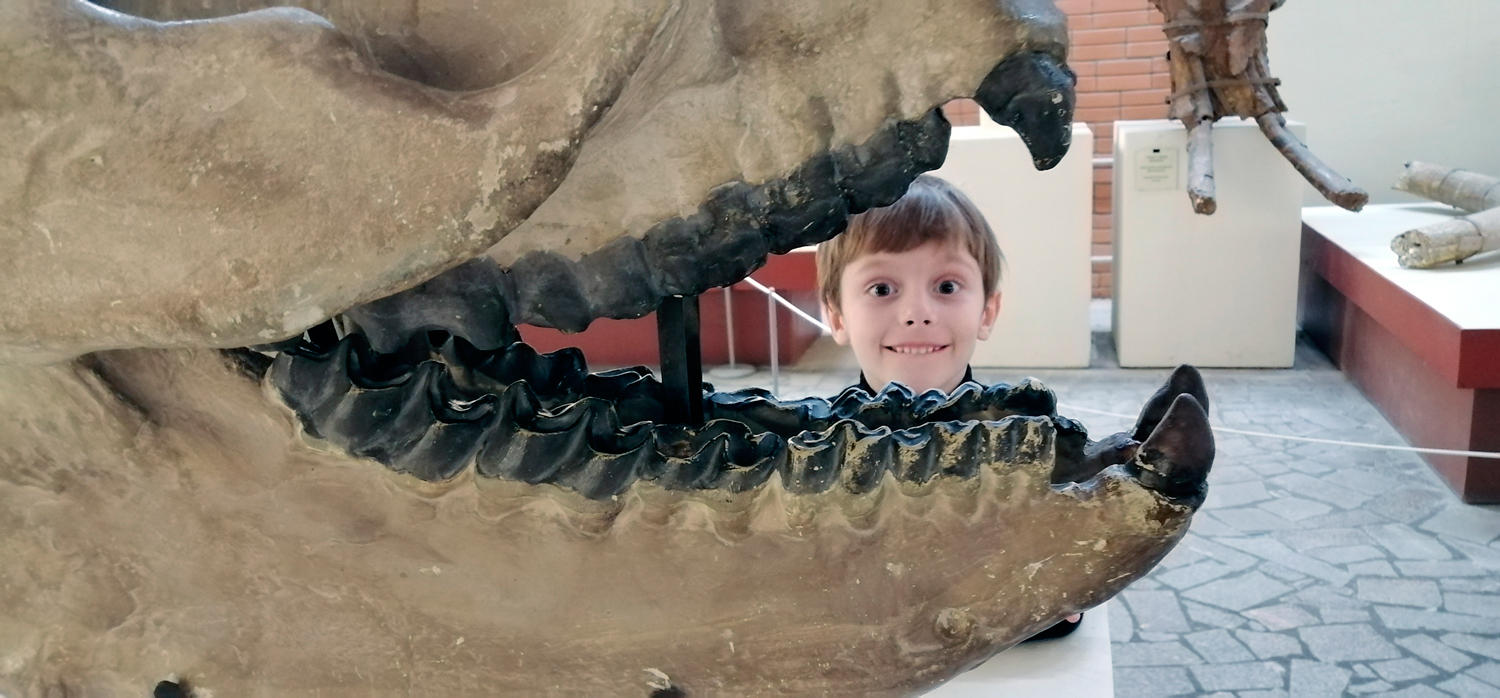 Палеонтологический музей смотреть онлайн