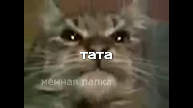 ТОП 5 РЕМИКСОВ КИТ ТЫ МАМУ МАВ