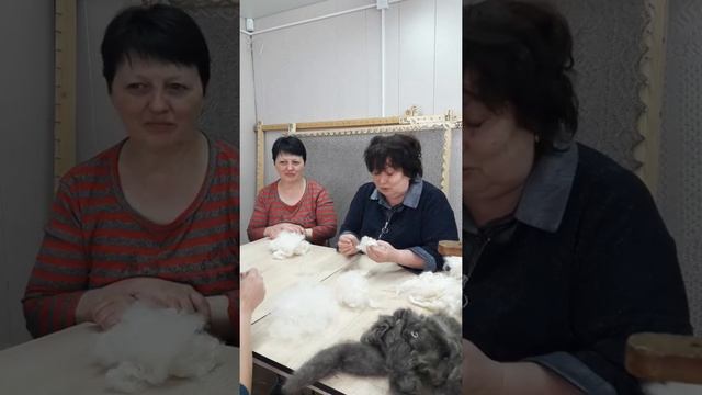 Онлайн-трансляция первого урока "Школы пуховниц". Тема занятия "Первичная обработка пуха" смотреть онлайн