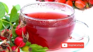 Как правильно заварить шиповник и сохранить витамины?