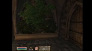 Siege of Battlehorn | Crimsonscarf plays Elder scrolls Oblivion (pc)