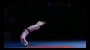 BODYSECTOR. Боевые искусства: Красота Тхэквондо