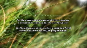 Сура 29. «Аль-Анкабут» (Паук). Чтец: Мишари Рашид Аль-Афаси.