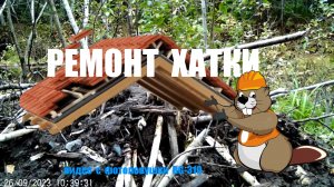 Бобр утепляет свой дом. Видео с фотоловушки BolyGuard BG310