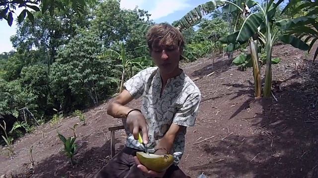 Всё о Перу. Экзотический Фрукт - ТУМБО (TUMBO) смотреть онлайн