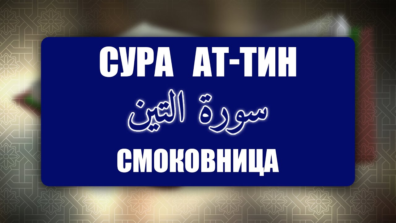 Выучите Коран наизусть | Каждый аят по 10 раз 🌼 | Сура 95 Ат-Тин (Смоковница)