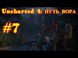 Uncharted 4: ПУТЬ ВОРА | ИГРОФИЛЬМ #7