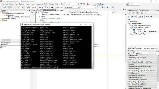 Creating a REST Server on Apache Linux using Delphi and TMS XData - Part 3: WebBroker Apache module