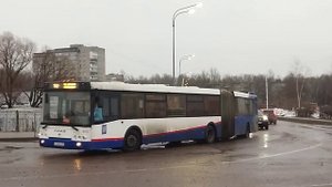 В память об Ярославских автобусах-гармошках . . . . - 2023