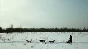 "Я ВЕЗУ ТЕБЕ ПОДАРКИ"  Виталий Аксёнов муз. ролик