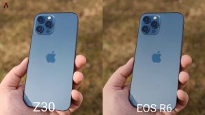 Nikon z30 Vs Canon EOS R6 | Camera Test