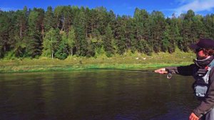 Евронимфинг Euro Nymphing 3 часть. Техника ловли. Семинар Андрея Тороповского (продолжение следует)