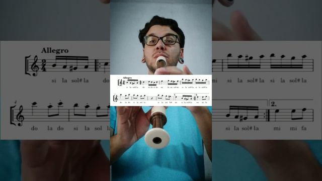 Rondo Alla Turka, Mozart - flauta doce - por Igor Flautista #teamrecorder смотреть онлайн