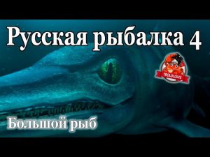 Русская рыбалка 4 Норвежское море РАЗМОТ!