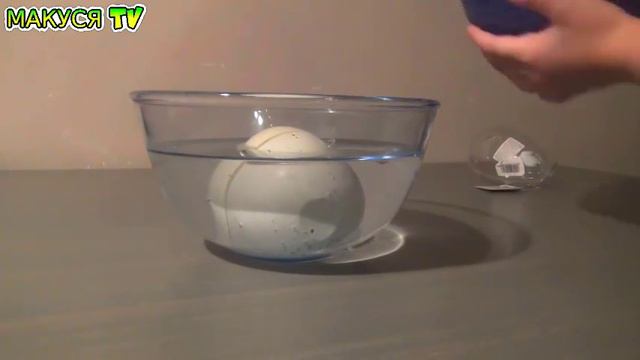 Dinosaur Egg Яйцо Динозавра Выращиваем Динозавра