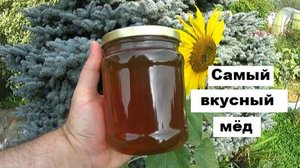 Подмосковный мёд самый вкусный