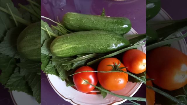 овощи летние!