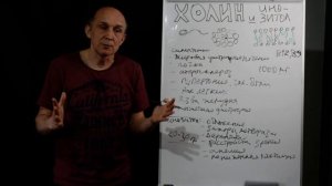 ХОЛИН и ХОЛЕСТЕРИН. Что влияет на холестерин.