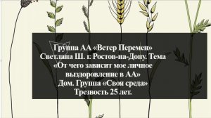 Светлана Ш. Тема "От чего зависит моё личное выздоровление в АА" Дом. группа "Своя среда"