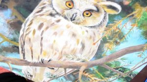 процесс рисования совы акрилом | how to draw owl | как нарисовать сову