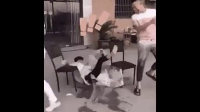 прикольные видео с животными ?