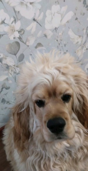 рум тур моего друга комнота