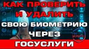 Как проверить и удалить свою биометрию через Госуслуги