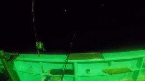 Ловля кальмара в Уссурийском заливе на "Дружном"