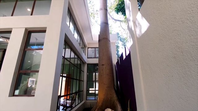 CASA LA CEIBA SANTIAGO смотреть онлайн