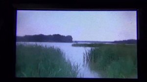 Замор рыбы в озере Бисерово. Лето 2016 года