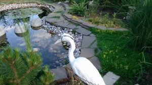 Сады наших заказчиков. Серия 1. Сад Татьяны. Московская область.