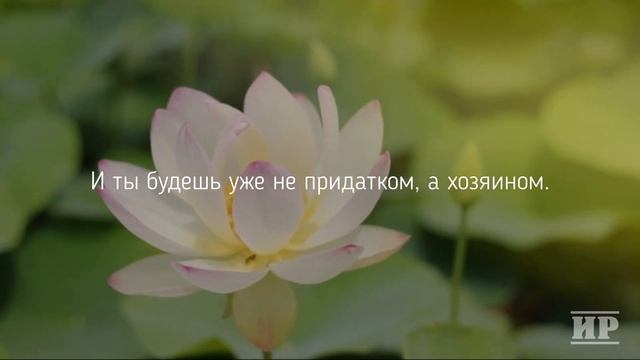 Почему вы должны ОСУЩЕСТВИТЬ свою мечту смотреть онлайн