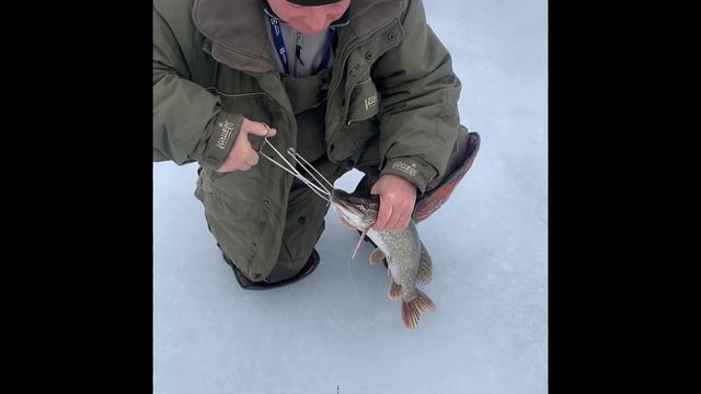 4 февраля 2023 г. смотреть онлайн