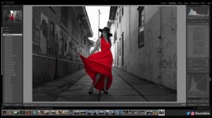 Adobe Lightroom Tutorial: How to Isolate Color with HSL (Black White Pop)