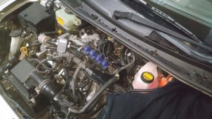 ТО 214063 км Масло Favorit 5-30 SN + ХАЛК