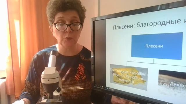 Грибы: плесени и дрожжи смотреть онлайн