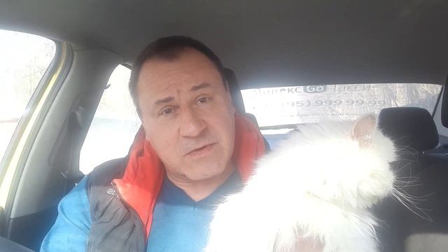 Зоопассажир ч 40. Я возьму , самую страшную и самую больную кошку в мире..... смотреть онлайн